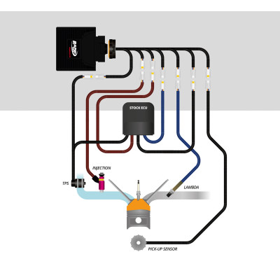 Rapid Bike Control Unit RACING Limited Edition with cable Kit for Panigale V4 / V4S 2021-2023