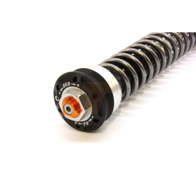 TracTive Suspension Front Fork Cartridges X-TREME PRO for Triumph Tiger 900 Rally Pro 2020-2023