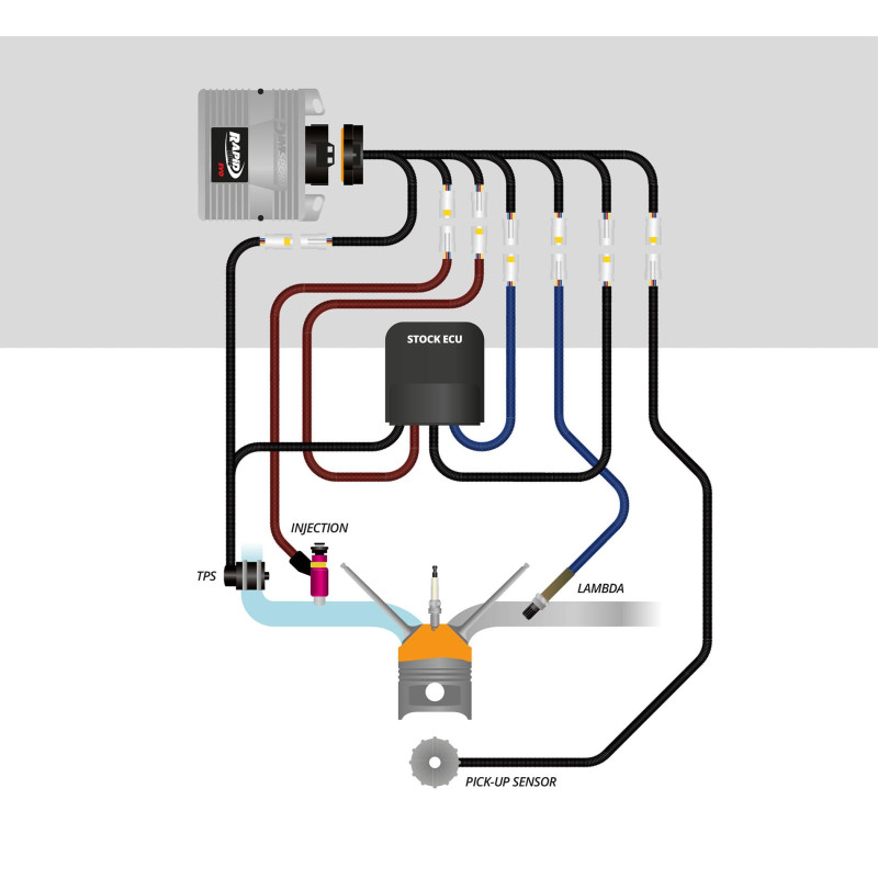RAPID BIKE | Control Unit EVO with cable Kit Kawasaki Ninja ZX-6R 2024