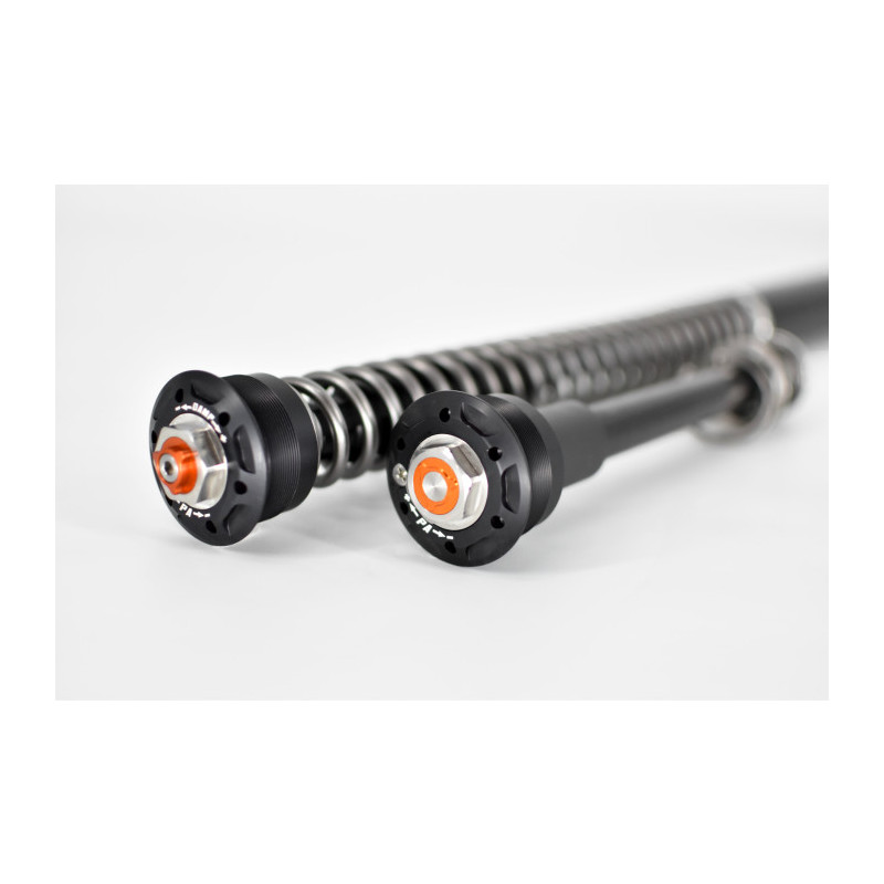 TRACTIVE | Cartucce Forcella X-TREME per BMW F850 GS Adventure 2019-2023