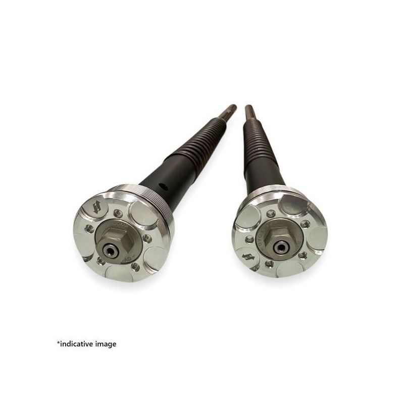 ANDREANI | Fork Cartridges Kit "Misano EVO 2"