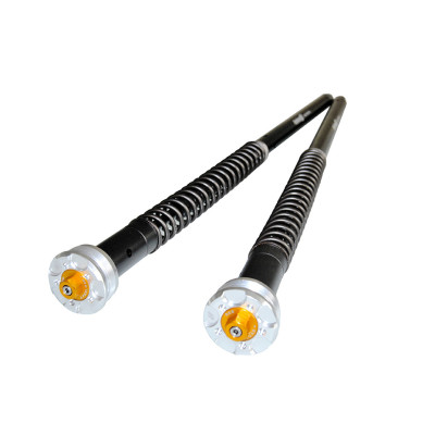 ANDREANI | Fork Cartridges Kit "Misano EVO 2"