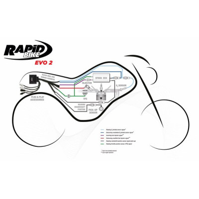 RAPID BIKE | Kit Centralina + cablaggio RACING 2 EXCLUSIVE Per Husqvarna Norden 901 2022-2025