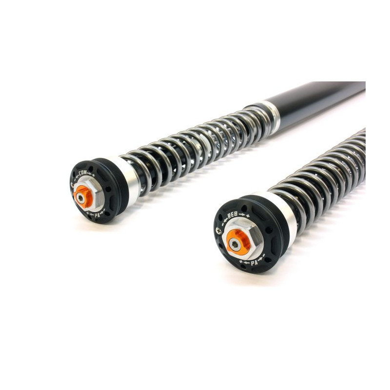 TRACTIVE | Cartucce Forcella X-PERIENCE per Yamaha Tenerè 700 2025-2026
