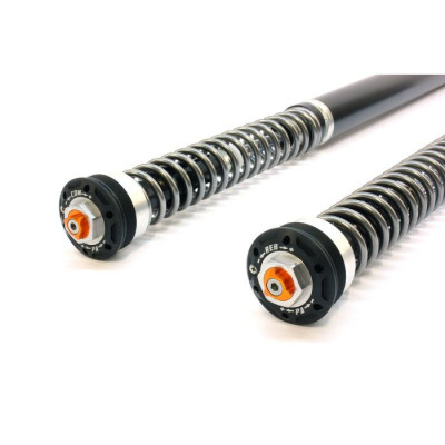 TRACTIVE | Cartucce Forcella X-PERIENCE per Yamaha Tenerè 700 2025-2026