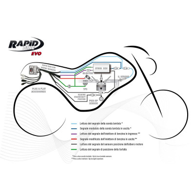 Centralina Rapid Bike EVO Kit con cablaggio