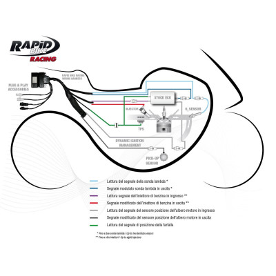 Centralina Rapid Bike RACING Kit con cablaggio