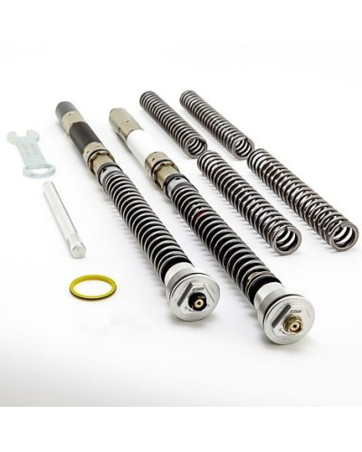 Front Fork Cartridges DDS K-Tech for Ducati V4R Ohlins