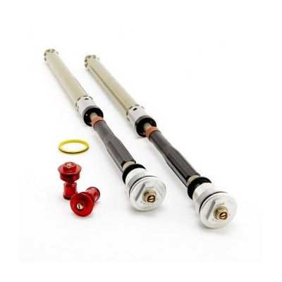 Cartuccia Pista/Strada RDS K-Tech per Triumph Street Triple 765RS 2017-2020 Showa BPF