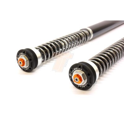 TracTive Suspension Front Fork Cartridges X-TREME for Ducati  Scrambler Desert Sled 2017-2021