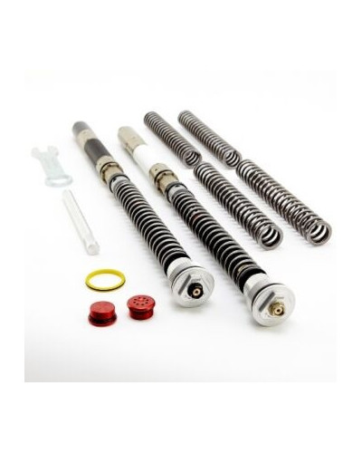 Front Fork Cartridges DDS K-Tech for Ducati Panigale 1299R Final Edition Ohlins FL9230