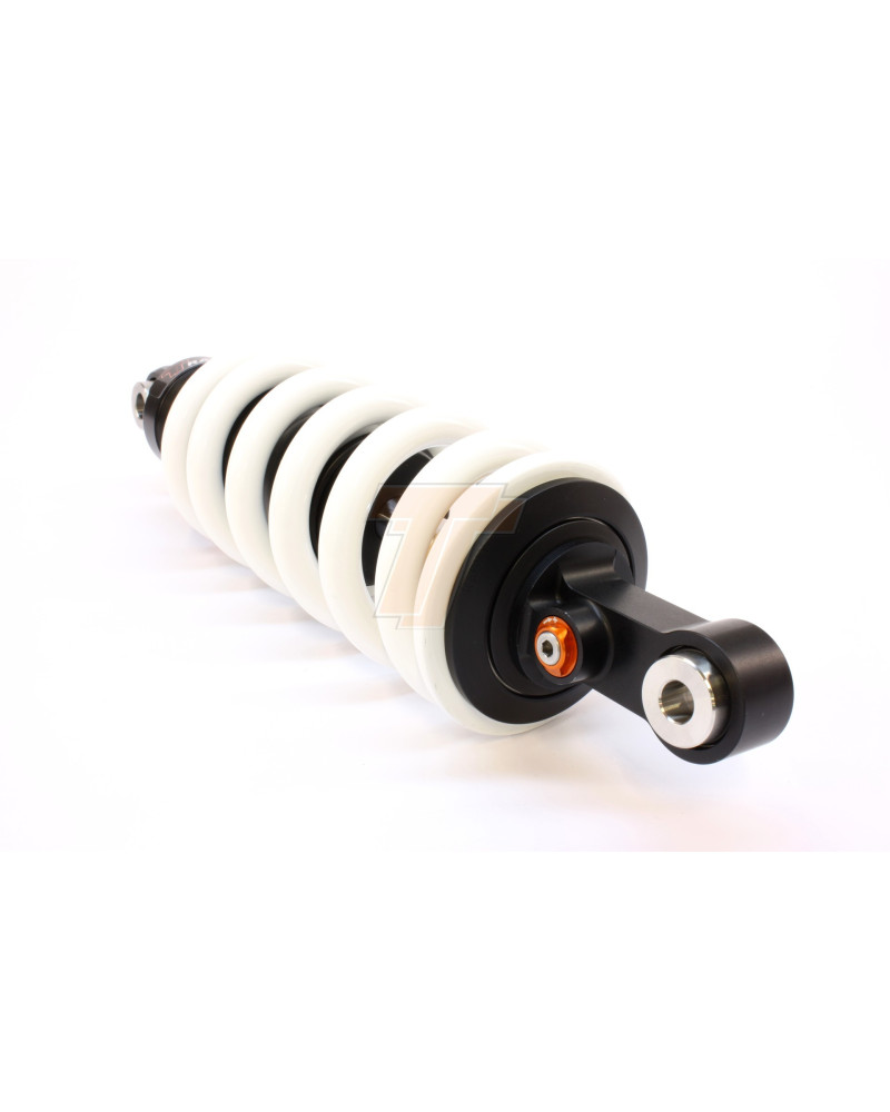 Supporti Cofano A Molla Gas Per Ford Focus MK4 2018-2024 - Sollevamento Facile E Sicuro
